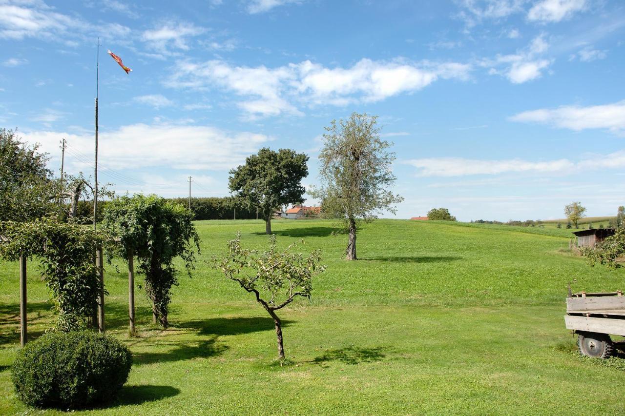 Apartment Landzeit Neukirch  Kültér fotó